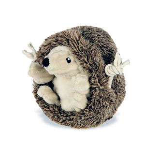 Hedgehog Companion Friend